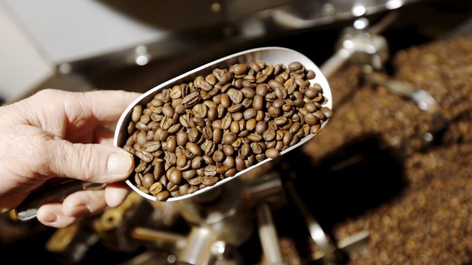 
La torréfaction artisanale de café en plein essor
