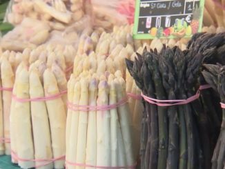 Haute-Gironde : la Fête de l'asperge du Blayais attire les curieux
Samedi 27 avril, les démonstrations culinaires se sont succédé à l'occasion de la Fête de l’asperge du Blayais, en Haute-Gironde.