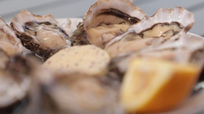 Gastronomie : à la découverte des huîtres de Marennes, la perle d'Oléron
Samedi 4 mai, la rubrique "Les petits plats dans l'écran" met à l'honneur l'huître de Marennes, une variété de fruits de mer, cultivées en Charente-Maritime.