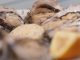 Gastronomie : à la découverte des huîtres de Marennes, la perle d'Oléron
Samedi 4 mai, la rubrique "Les petits plats dans l'écran" met à l'honneur l'huître de Marennes, une variété de fruits de mer, cultivées en Charente-Maritime.