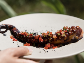 Indie Group : 6 adresses à Saint-Tropez