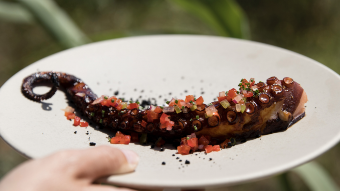 Indie Group : 6 adresses à Saint-Tropez