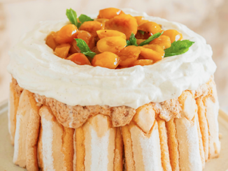 Recette Charlotte aux Mirabelles de Lorraine