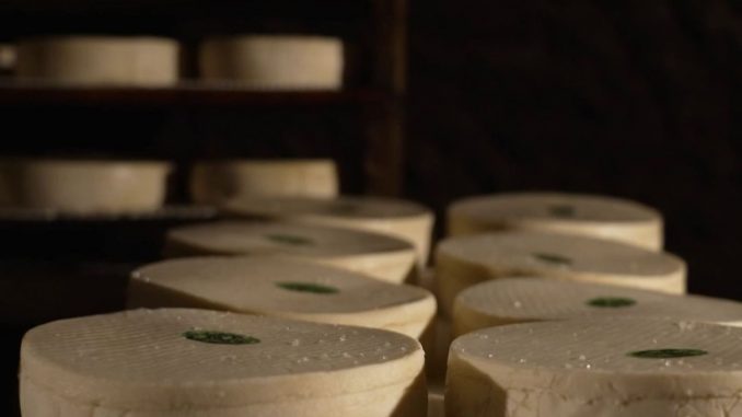 Gastronomie : le Saint-Nectaire, le symbole de l'Auvergne
Le Saint-Nectaire est une star locale en Auvergne, où il est façonné à partir du lait des vaches de la région. Reportage.