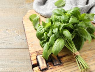 En suivant la bonne méthode, votre basilic restera frais pendant plusieurs semaines