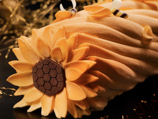 Recette de la Bûche “La Rencontre” de Nina Métayer